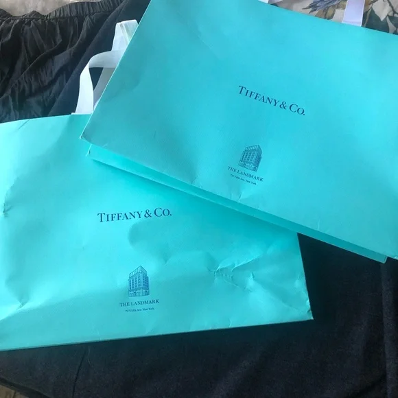 Tiffany & Co. Two large shopping bags and Landmark charm - Picture 6 of 12